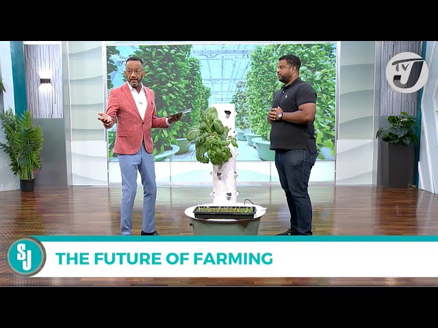 ⁣The Future of Farming with John-Mark Clayton | TVJ Smile Jamaica