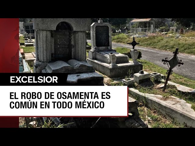 ⁣Robo y venta de osamentas, un negocio redituable en México