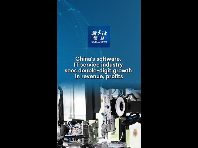 ⁣Xinhua News | China's software, IT service industry sees double-digit growth in revenue, profit