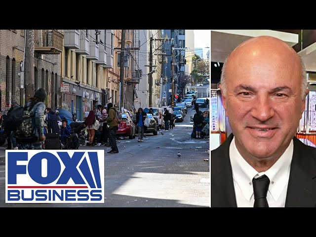 ⁣'WASTELAND': Kevin O'Leary says San Fran is 'not America anymore'