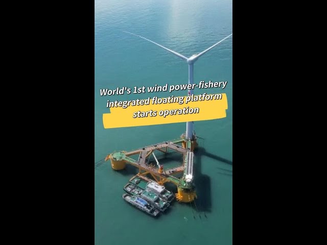 ⁣World's first wind power-fishery integrated floating platform starts operation