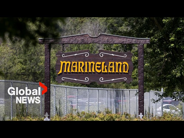 ⁣Scaled-down Marineland reopens in Ontario without rides and animals