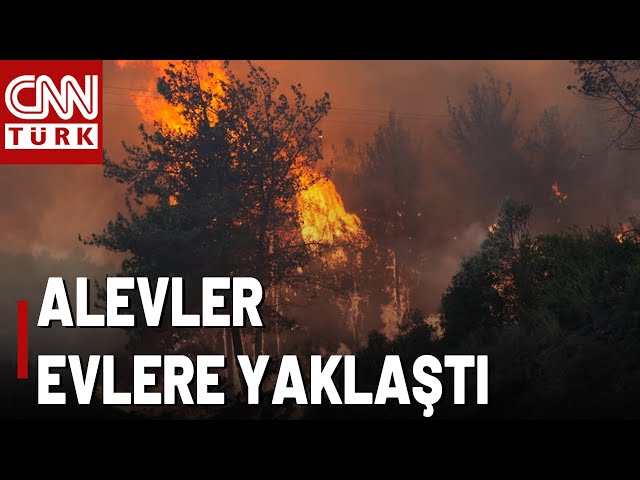 ⁣İzmir Selçuk'ta Alevler Evlere Yaklaştı! 3 İlde Alevlerle Mücadele Sürüyor!