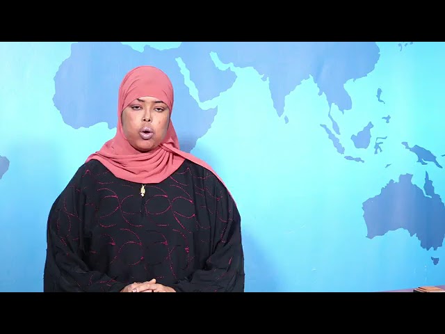 WARKA HABEEN EE SNTV 29.06.2024