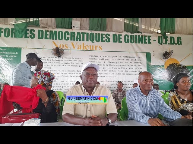 ⁣Manque de courant en Guinée : Kalémodou Yansané démonte les arguments du gouvernement et accuse