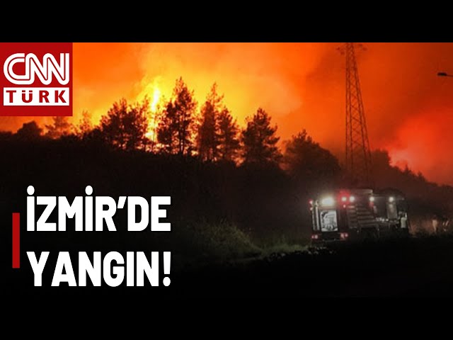 ⁣İzmir'deki Yangında Son Durum Ne? "Menderes ve Selçuk'taki Yangına Müdahale Sürüyor&q