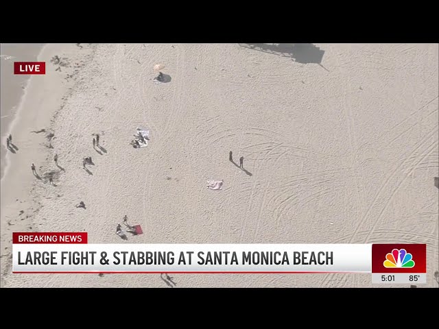 ⁣Large brawl ends with stabbing at Santa Monica Beach