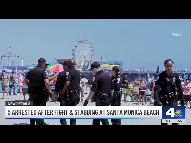 ⁣5 arrested after fight and stabbing at Santa Monica Beach