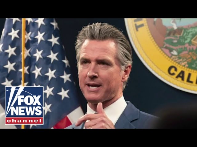 ⁣Gavin Newsom is the face of what's 'wrong' with politics: Adam Carolla