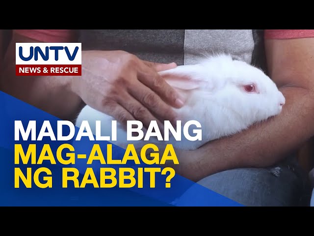 ⁣Alamin: mga dapat tandaan at ihanda sa pag-aalaga ng rabbit | Pet Talk
