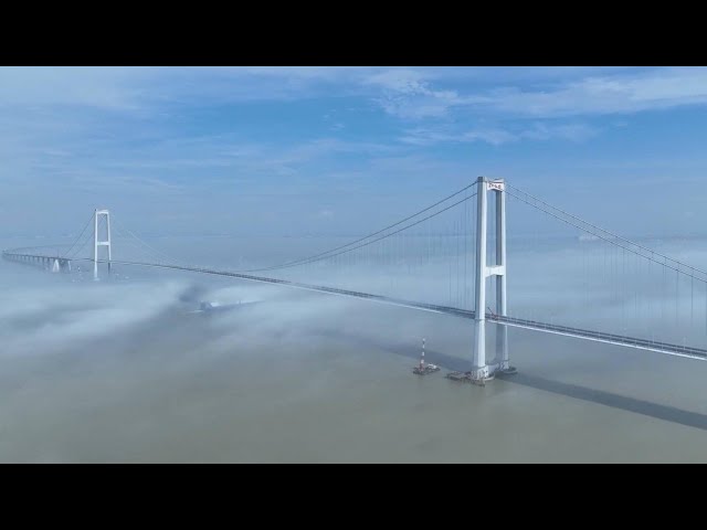 ⁣GLOBALink | China's latest mega cross-sea link opens to traffic