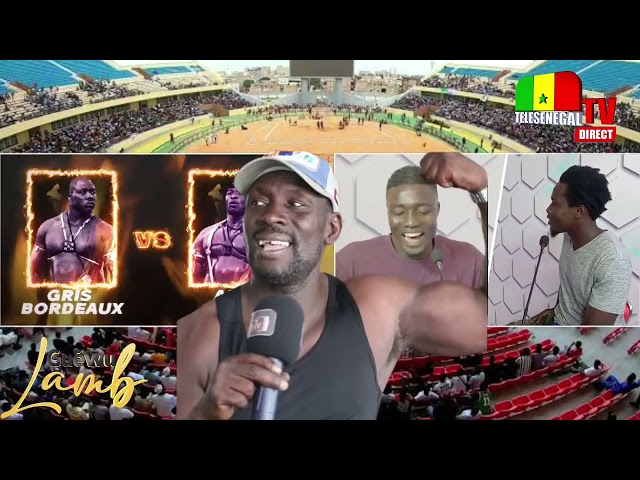 ⁣Encore défaite pour Papa Boy Djiné contre Tapha Gueye 2