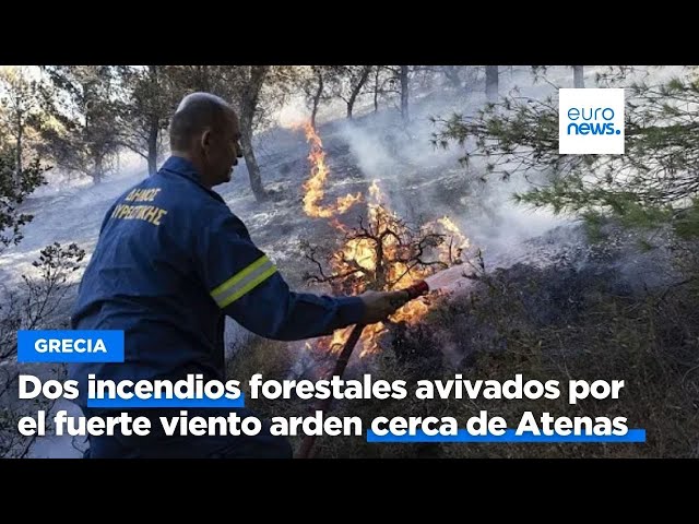 ⁣Dos incendios forestales avivados por el fuerte viento arden cerca de Atenas