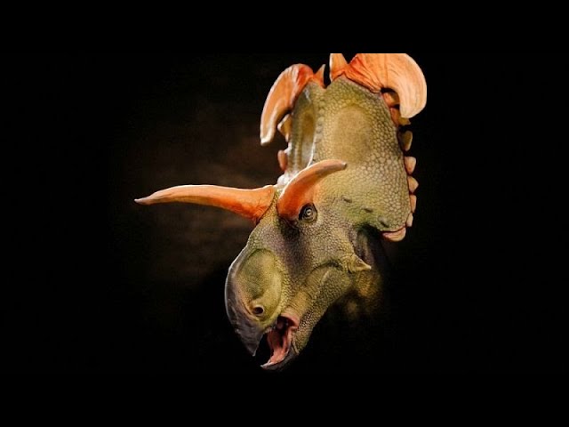 ⁣Was ist ein Lokiceratops? Ein Dinosaurier mit riesigen Hörnern und 2 Meter langem Schädel