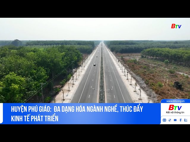 ⁣Huyện Phú Giáo: Đa dạng hóa ngành nghề, thúc đẩy kinh tế phát triển