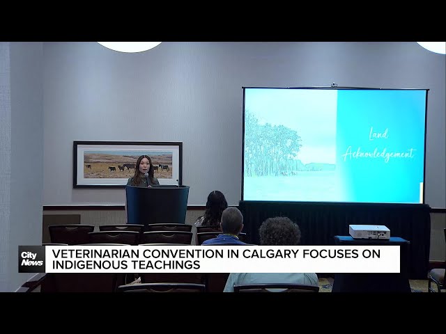 ⁣Veterinarian Convention in Calgary focuses on Indigenous teachings