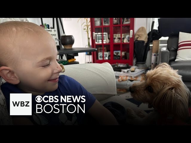⁣Runner and biker make donation to Boston hospital treating Sarah Wroblewski's son Declan