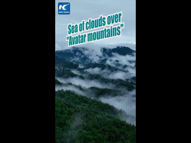 ⁣Sea of clouds over mountains in China's Zhangjiajie
