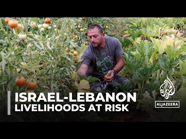 ⁣Israel-Hezbollah tensions: Near daily exchange of fire affecting livelihoods