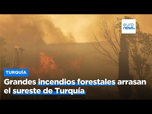 ⁣Los bomberos luchan por contener varios incendios forestales que arrasan Turquía