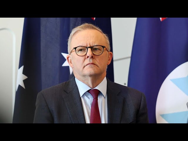 ⁣‘Does not want to upset Muslims’: Albanese gives clue on not sacking Senator Payman