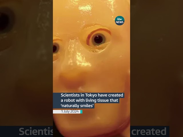 ⁣Scientists in Tokyo have created a robot with living tissue that ‘naturally smiles’ #itvnews #news
