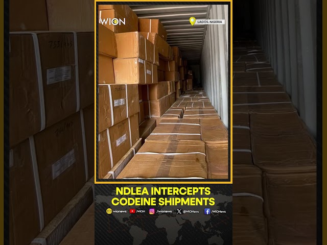 ⁣NDLEA intercepts N7.3bn codeine consignments | WION Shorts