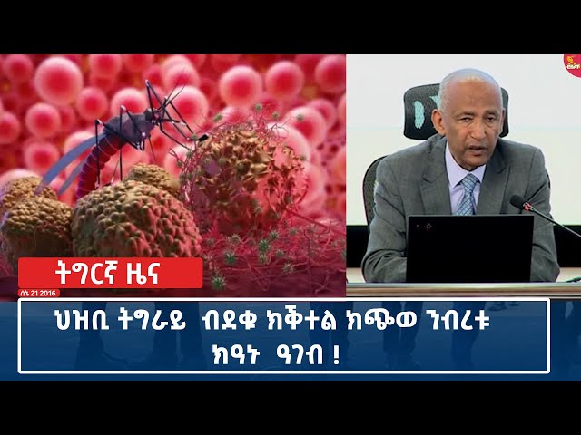 ⁣Ethiopia - Esat Tegrigna news 1 july 2024