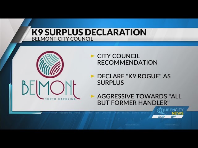 ⁣Belmont Police K9 Rouge declared "surplus property" due to aggressive behavior