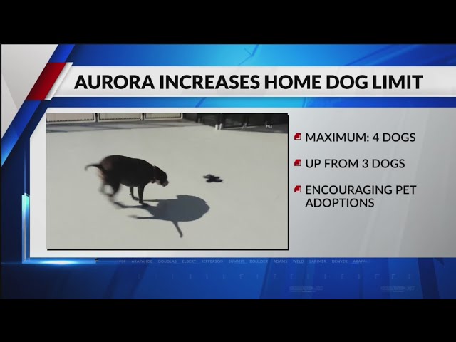 ⁣Aurora increases dogs-per-home limit to 4