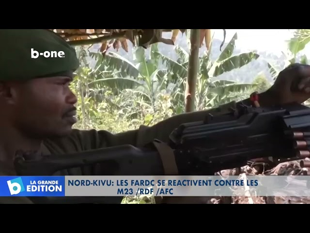 ⁣Les FARDC se réactivent contre les M23, RDF, AFC