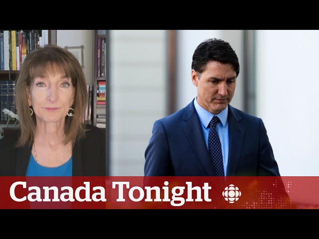 ⁣No 'obvious path forward' for Trudeau, Liberals: politics expert | Canada Tonight