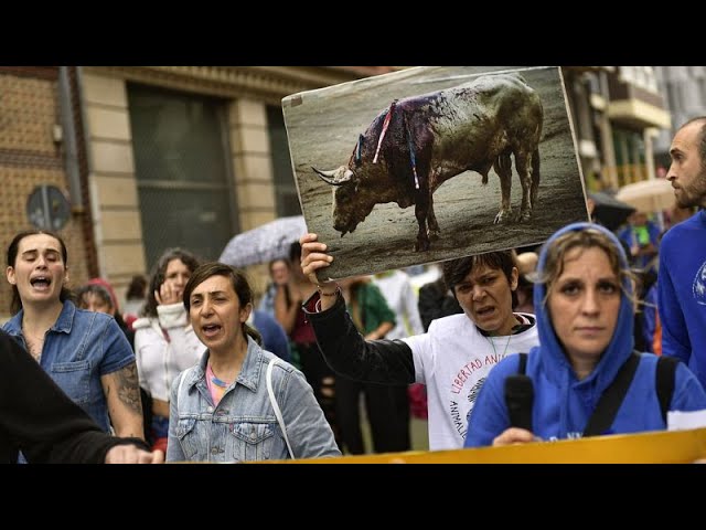 ⁣"Es ist meine Familie": Menschen demonstrieren für Tierrechte in Mexiko