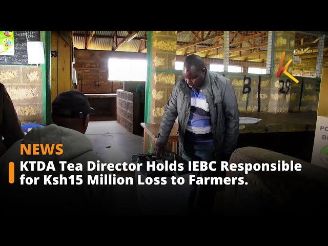 ⁣KTDA Tea Director Holds IEBC Responsible for Ksh15 Million Loss to Farmers.