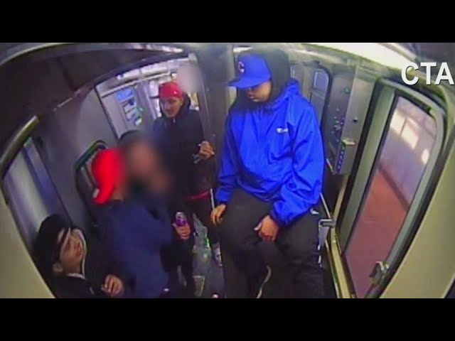 ⁣Suspects in February CTA Pink Line attack due back in court