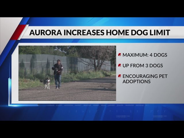 ⁣Aurora increases limit on number of dogs in a home