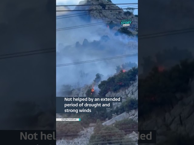 ⁣Dozens evacuated after wildfires in Greece #itvnews
