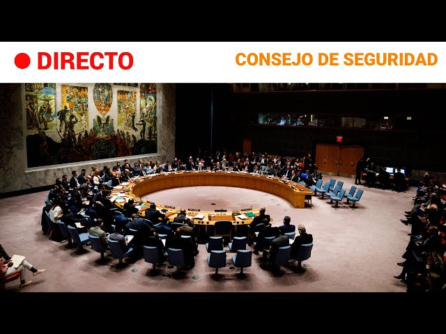 ⁣ONU: El CONSEJO de SEGURIDAD aborda la cuestión PALESTINA y la GUERRA de GAZA | RTVE Noticias
