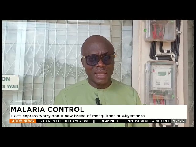 ⁣DCEs express worry about new breed of mosquitoes at Akyemansa- Premtobre Kasee on Adom TV (02-07-24)