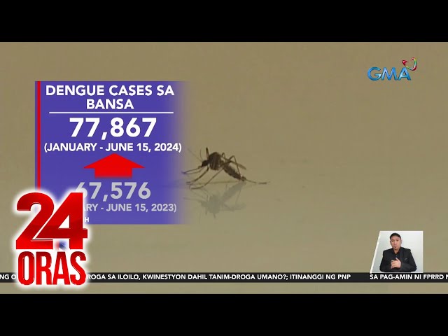 ⁣DOH - Kaso ng dengue sa bansa, tumaas nang 10% sa loob ng ilang linggo | 24 Oras