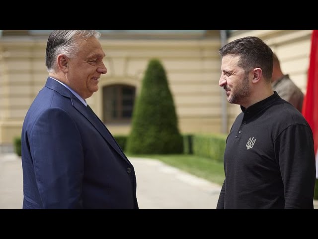 ⁣Ukraine : Viktor Orban appelle à un "cessez-le-feu"