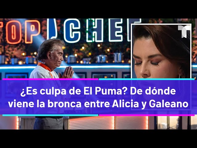 ⁣Top Chef VIP | ¿Es culpa de El Puma? De dónde viene la bronca de Alicia Machado y Galeano