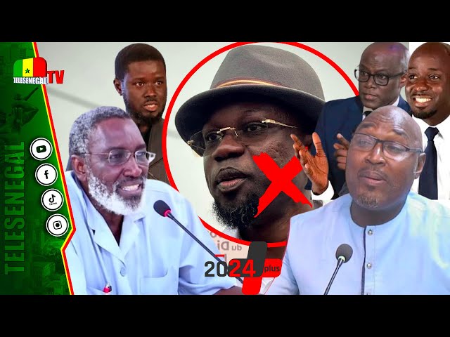 ⁣[LIVE] DIOMAYE et SONKO attaqués, Thierno Bocoum, BBY, TAS : Dr Niang SUMA face à Adama Fall