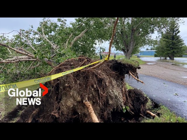 ⁣Ferocious winds, hail cause widespread damage in southern Alberta