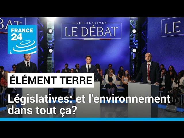 ⁣Législatives: et l'environnement dans tout ça? • FRANCE 24