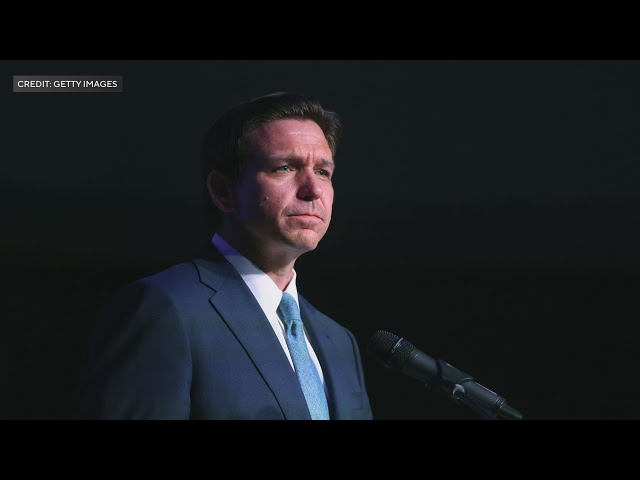 ⁣South Florida leaders, artists, creatives react to DeSantis' veto of $32M in art grants | Miami