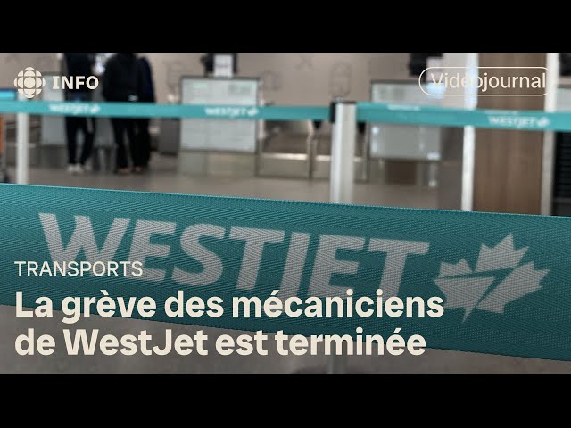⁣Fin de la grève des mécaniciens de WestJet | Vidéojournal