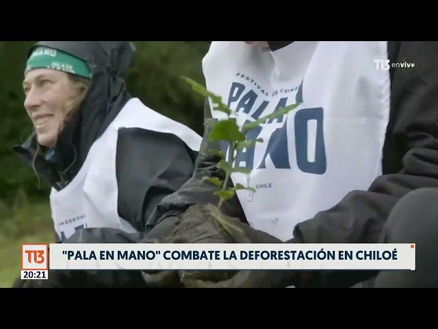 ⁣Chiloé: Festival Pala en Mano plantó 10 mil árboles en Ancud para combatir la deforestación insular