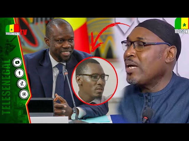 ⁣DPG : Adama Fall attaque SONKO et encaisse une réplique salée de Cheikh Kane