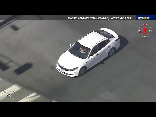 ⁣WATCH LIVE: LAPD officers chasing suspect in reported stolen vehicle through Los Angeles area
